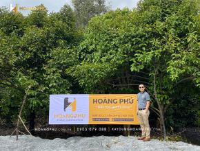 Khởi công xây dựng Biệt Thự Vườn tại Bình Dương